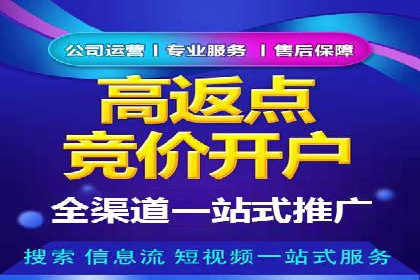 某品牌SEM推广代运营的实践与效果评估
